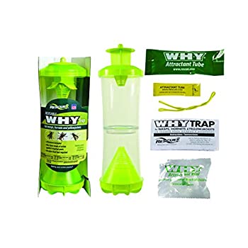 新品即決 中古 輸入品 未使用未開封 Hornet Yellow Jacket And Wasp Trap Reusabl Wasp Hornet Trap 並行輸入品 アトリエ絵利奈 全日本送料無料 Erieshoresag Org