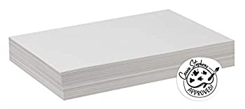 【中古】【輸入品・未使用】White Drawing Paper 47 lbs. 12 x 18 Pure White 500 Sheets/Ream (並行輸入品) 11,850円