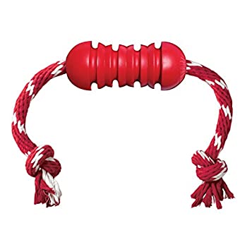 【中古】【輸入品・未使用】Kong DENTAL WITH ROPE Dog Chew Toy Cleans Teeth Medium (DK2)
