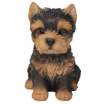 交換無料 輸入品 未使用未開封 Pacific Giftware かわいい座ったヨークシャーテリア 子犬 ヨークシャーテリア コレクタブルフィギュア 素晴らしい犬のような ハンドペイント 樹 超大特価 Erieshoresag Org