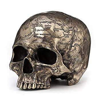 【中古】【輸入品・未使用】Veronese Design ブロンズ仕上げ 頭蓋骨像 古宝地図