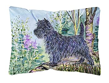 【中古】【39shop】【輸入品・未使用】キャロラインはでSS8665PW1216★12&times;16宝物。ケアンテリア装飾屋内＆屋外ファブリック枕（新古品）｜アトリエ絵利奈 12,008円