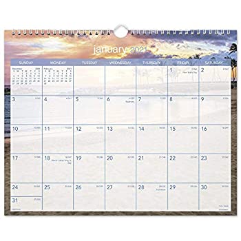 【中古】【輸入品・未使用】AT-A-GLANCE 2021 壁掛けカレンダー 15×12インチ、ミディアム、トロピカルエスケープ (DMWTE82821)|アトリエ絵利奈