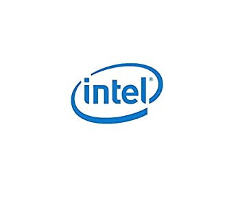 【中古】【インポート品・未当て嵌める】インテルssdpd2me010t401?DC d3600?1tb NVMe pcie3.0?( 2?x 2?) MLC 2.5inSSD
