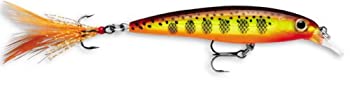 【中古】【輸入品・未使用】Rapala XR06HMMD Xラップ06釣りルアー、2.5\"、ホットマスタードマドラー