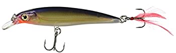 【中古】【輸入品・未使用】Rapala(ラパラ) XR10 X-RAP PG(パープルゴールド) 10cm XR10