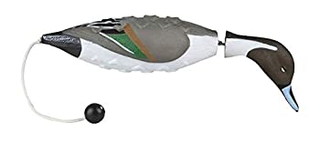 【中古】【輸入品・未使用】Avery EZ バードピンテール