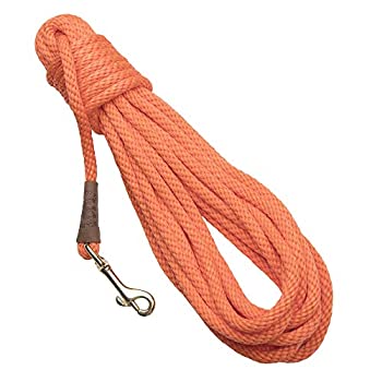 【中古】【39shop】【輸入品・未使用】PRO★tRAINER cHECK cORD（新古品）｜アトリエ絵利奈