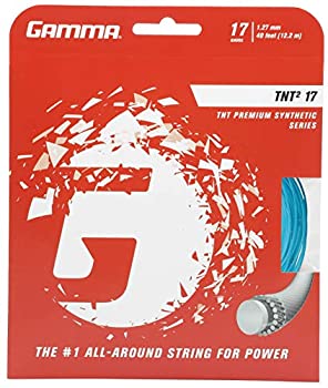 【中古】【輸入品・未使用】Gamma Sports TNT2 17g ストリング - ブルー