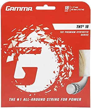 【中古】【輸入品・未使用】ガンマgtnt18?:セットtnt2?18?g Strings