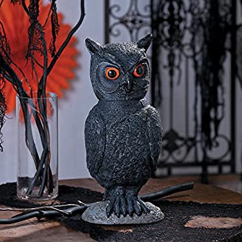 おもちゃ その他 当社の 中古 輸入品 未使用未開封 ハロウィンアニメフクロウの装飾 Shoxruxtj Com