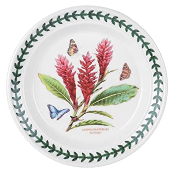 【中古】【輸入品・未使用】Portmeirion Exotic Botanic Garden Salad Plate with Red Ginger Motif by Portmeirion画像