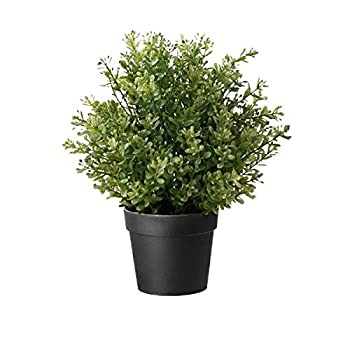 【中古】【輸入品・未使用】(1) - Ikea Artificial Potted Plant Thyme 24cm