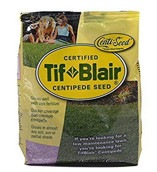 【中古】【輸入品・未使用】Tifblair Centipede Grassシード( 1?lb。)Direct from the Farm by Pattenシード会社