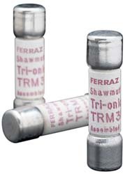 【中古】【39shop】【輸入品・未使用】Mersen★trm8?250?V 8?A 1???0.5?X 13?/ 32?Midget時間遅延ヒューズ、10枚パック（新古品）｜アトリエ絵利奈