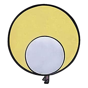 【中古】【輸入品・未使用】Promaster reflectadisc???シルバー/ゴールド???32?\"