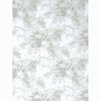 【中古】【インポート品・未当て嵌める】Promasterクラウド染めBackdrop???6?\u0027 x 10?\u0027???ともし火薄墨色