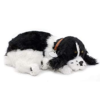 中古 輸入品 未使用未開封 Perfect Petzzz Xp91 32 Huggable Cocker Spaniel Puppy Filmsdeculfrancais Com