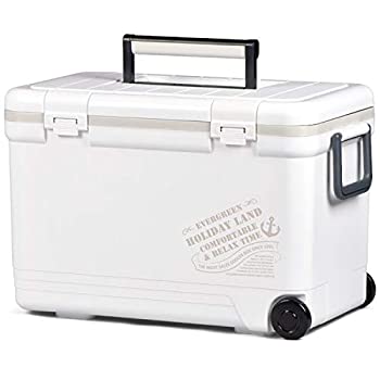 【中古】伸和(SHINWA) ホリデーランドクーラー27H 27H 白いこと