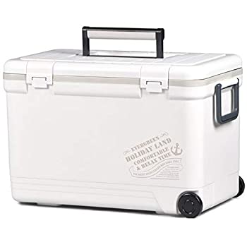 【中古】伸和(SHINWA) ホリデーランドクーラー33H 33H 白いこと