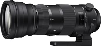 【中古】SIGMA 150-600mm F5-6.3 DG OS HSM | Sports S014 | Canon EFマウント | Full-Size/Large-Format