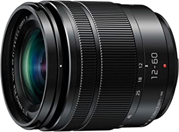 【中古】パナソニック 判定基準望遠レンズ マイクロフォーサーズ用 ルミックス G VARIO 12-60粍/F3.5-5.6 ASPH./POWER O.I.S H-FS12060