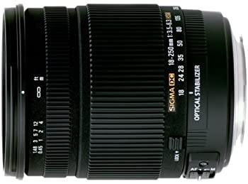 【中古】シグマ 18-250mm F3.5-6.3 DC OS HSM EO キヤノン用