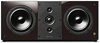 【中古】ソニー SONY 金棒引き SS-NA8ESpe [単品]