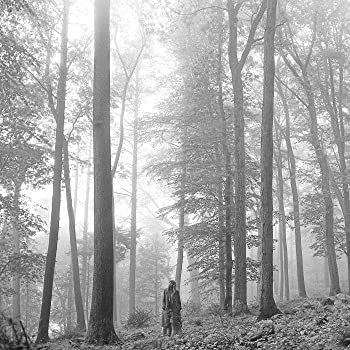 【中古】folklore [1. the &ldquo;in the trees" edition deluxe vinyl] [12 inch Analog]｜アトリエ絵利奈