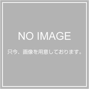【中古】【未当て嵌める】大光電機（ＤＡＩＫＯ） アウトドア斑点模様 【LED内蔵】 LED 15W 白熱電球色 2700K DOL-4017YS