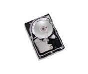 【中古】【39shop】Maxtor★Diamond Max10 3.5インチ内蔵型HDD 300GB/S-ATA 6V300F0(良い)|アトリエ絵利奈