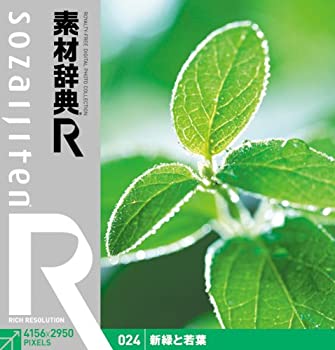 【中古】【未使用】素材辞典[R(アール)] 024 新緑と若葉