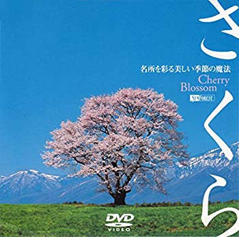 【中古】【未使用】シンフォレストDVD さくら -名所を彩る美しい季節の魔法- Cherry Blossom