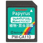 【中古】【未当て嵌める】読みやすい コンテンツ歌留多 草木・虫けら図鑑歌留多 PW-CA110 (PW-J5000相応う)