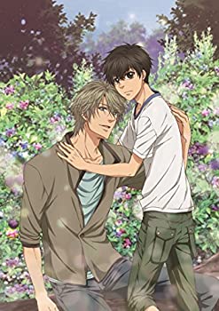 【中古】【39shop】【未使用】SUPER★LOVERS 2第5巻限定版 [Blu-ray](新古品)｜アトリエ絵利奈