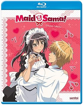 【中古】Maid Sama [Blu-ray] 13,820円