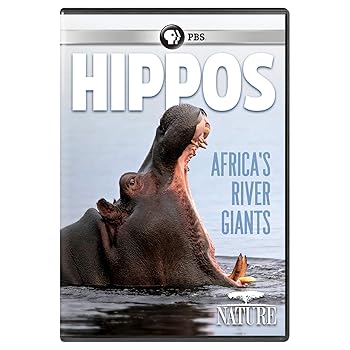 【中古】NATURE: Hippos: Africa's River Giants [DVD] 7,495円