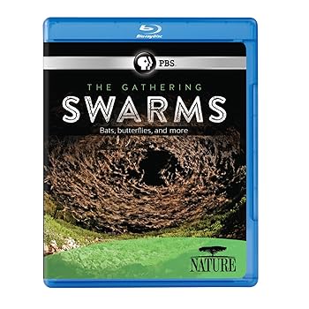 【中古】Nature: The Gathering of Swarms [Blu-ray]