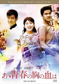 【中古】あゝ青春の胸の血は [DVD]