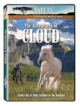 【中古】Adventures of Cloud [DVD]