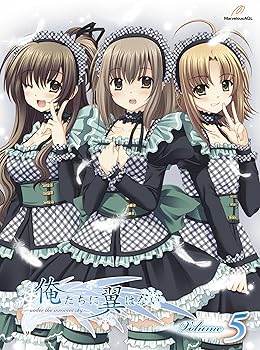 【中古】俺たちに翼はない　第5巻 [Blu-ray]