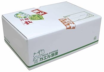 【中古】踊る大捜査線 THE MOVIE 3 カエル急便おまとめパック 【初回限定生産】 [Blu-ray]