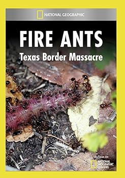 【中古】Fire Ants: Texas Border Massacre [DVD]