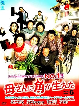 【中古】母さんに角が生えた DVD-BOX6