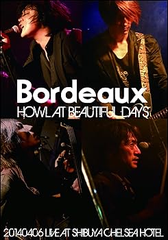 【中古】HOWL AT BEAUTIFUL DAYS -20140406 LIVE AT SHIBUYA CHELSEA HOTEL- [DVD]