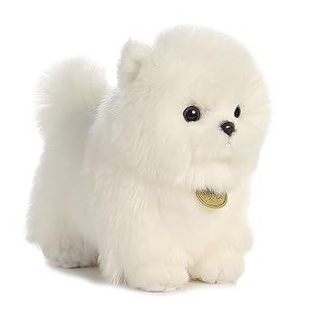 【中古】POMPOM PUP
