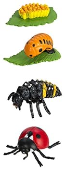 【中古】サファリ Science Series : Novelty 2013 Life Cycle Of A Ladybug 662716 並行輸入