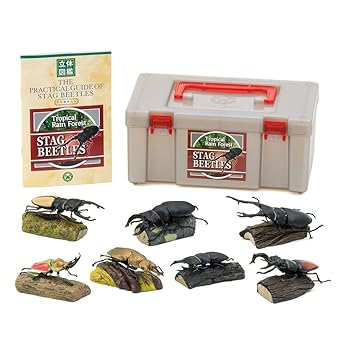 【中古】カロラータ クワガタムシ フィギュア 立体図鑑 クワガタ 昆虫 / 7種 / 解説書 リアル フィギュアボックス おもちゃ 知育玩具 プレゼント ギフト