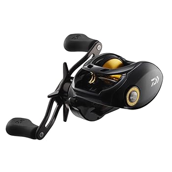 【中古】ダイワDAIWA ベイトリール 14 タトゥーラ 固定ディスクカスタム 150H-TW 2014ひな形