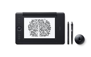 【中古】ワコム Wacom Intuos Pro Paper Edition M大きさ A5相応う 書き込み経口避妊薬 調査報告～版 書き込みインプット Wacom Pro Pen 2  PTH-660/K1